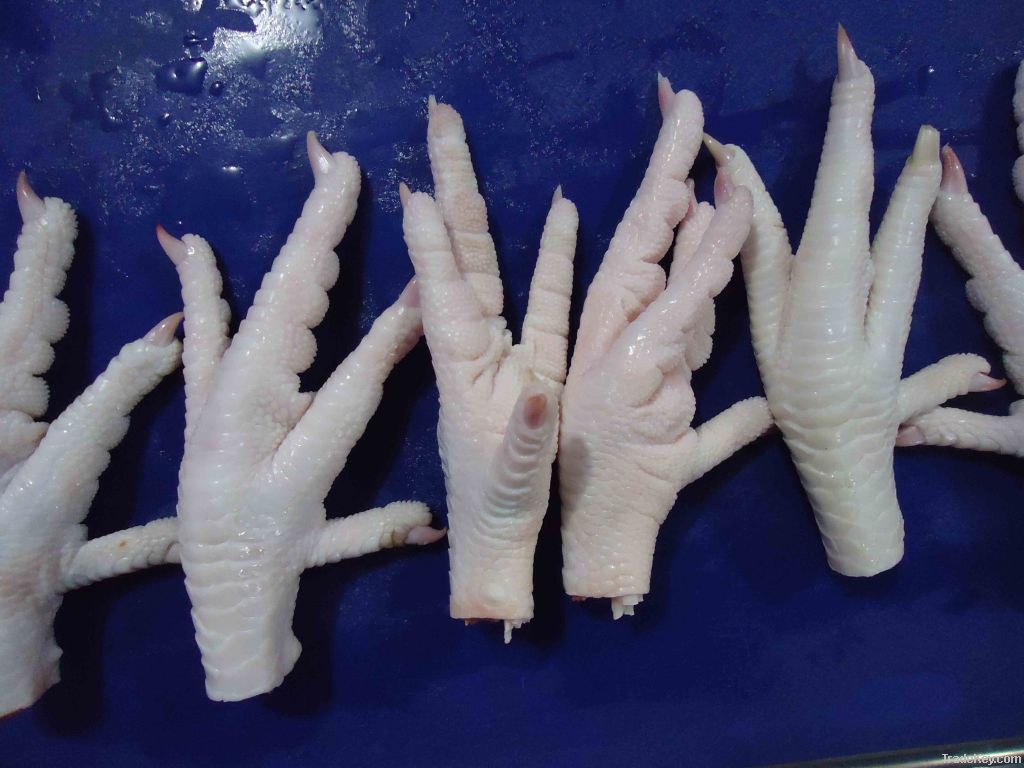 Proccessed Frozen Chicken Paws