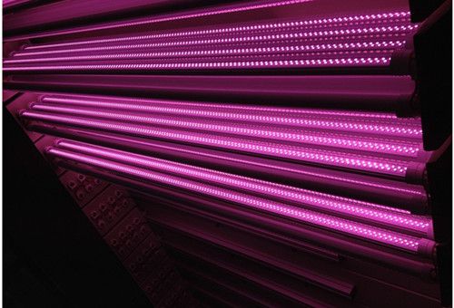 pink  led tube  lights