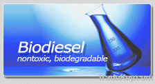 Palm Oil Methyl Ester PME B100 (Winterized Biodiesel)