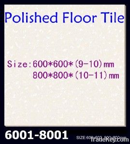 Polished Floor Tile