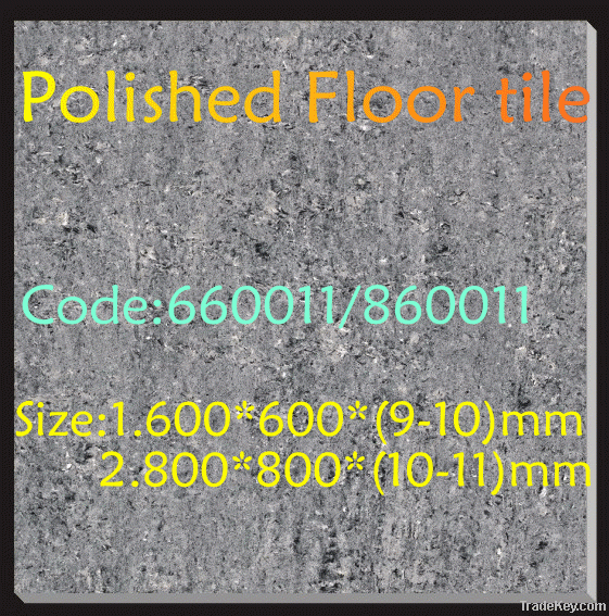 polished floor tile