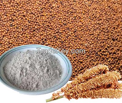 Millet