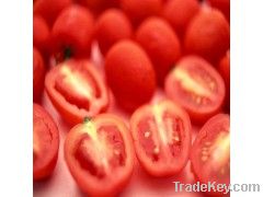 100% Natural Tomato Lycopene