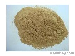 Ginkgo Biloba Extract in herbal extract