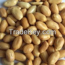 peanut kernels from brazil and argentina
