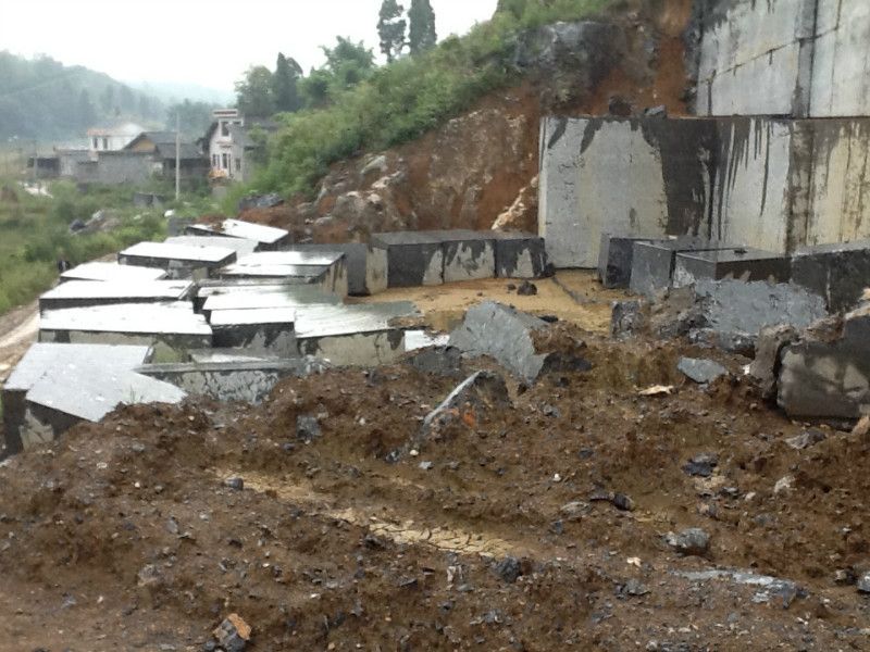 China Black and White Flower Marble tiles slabs quarry