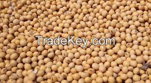 SOYBEAN