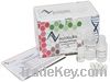 RNA Clean-Up and Concentration Kit