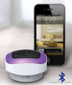 Bluetooth Portable Speaker