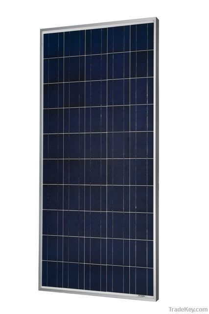 Poly Solar Module (180W-195W)
