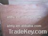 Chinese eucalyptus plywood board