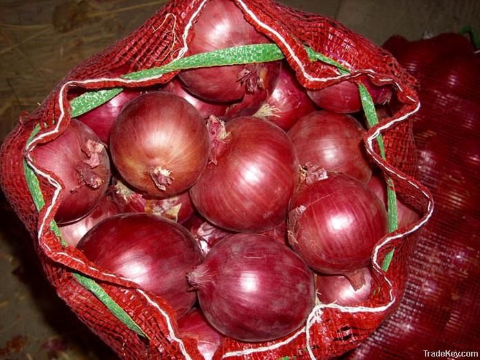 2013 new crop fresh yellow onion