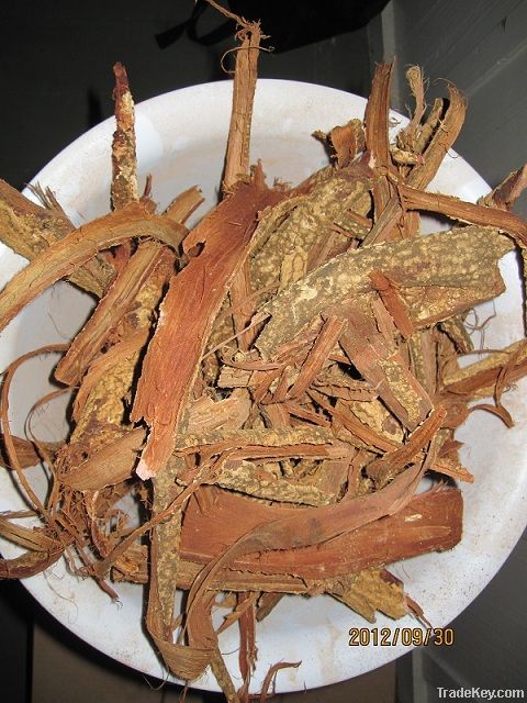 Whole Acacia Confusa Root Bark