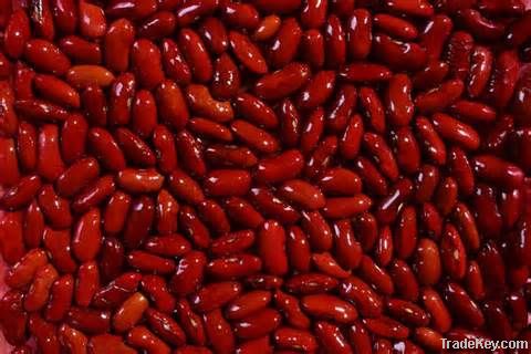 White & Red Kidney Beans | Black Kidney Beans