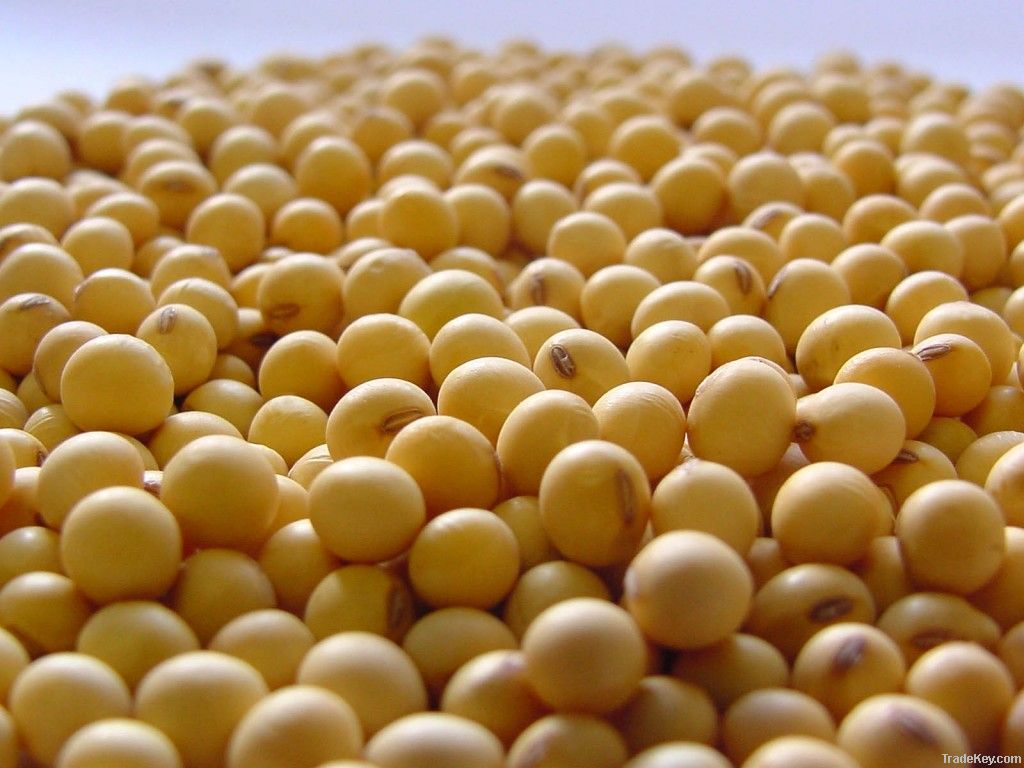 Soybeans