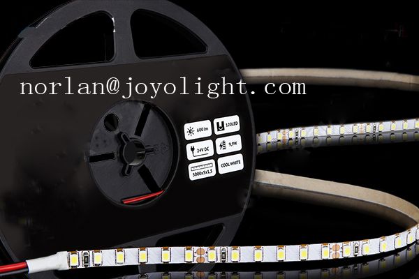 Warm White Flexible led strip SMD5050 CE ROHS Certificate