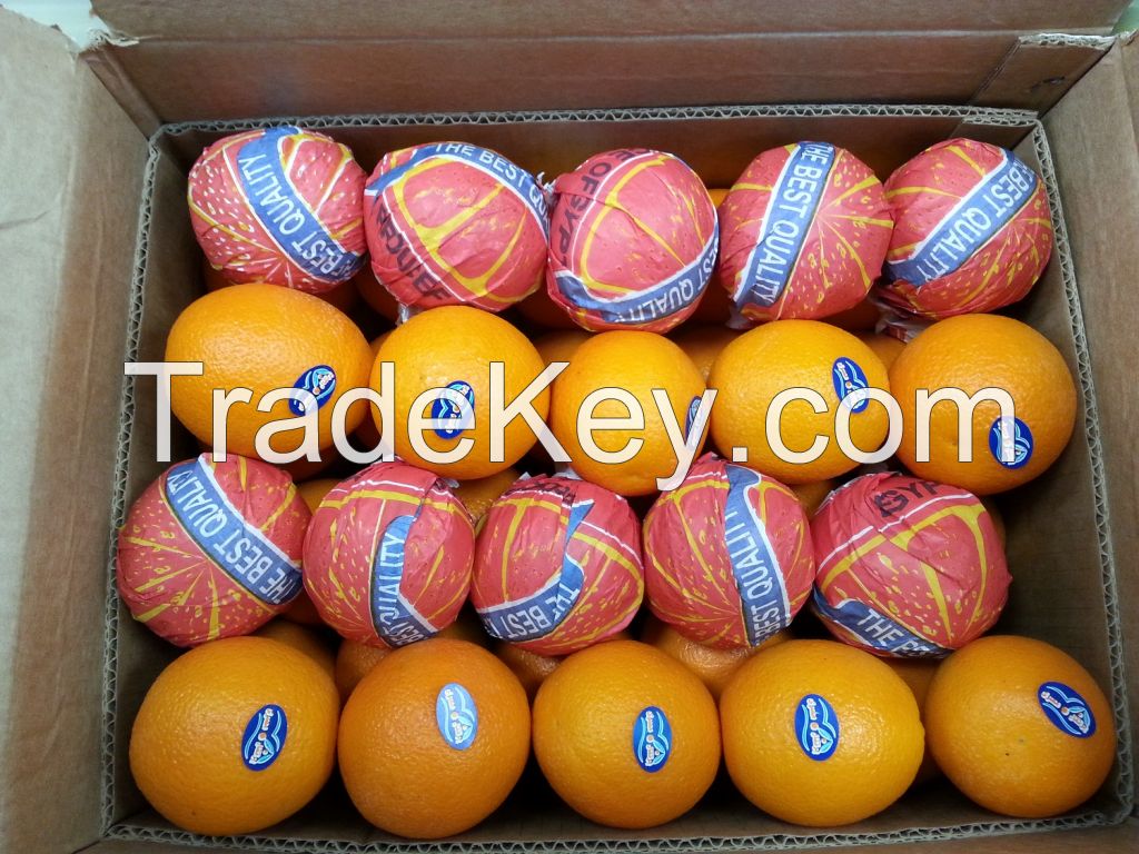 Fresh Navel Orange