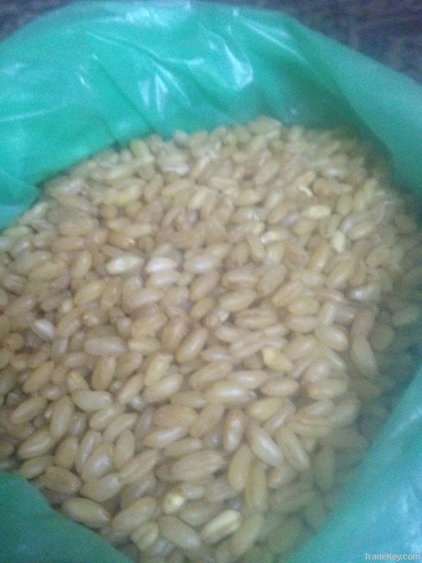 Wheat (Processed) for Haleem