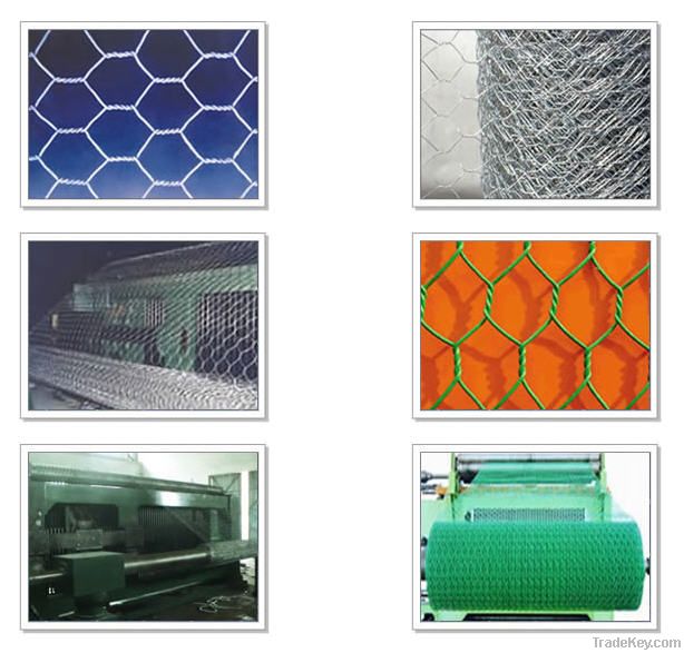 Hexagonal wire mesh