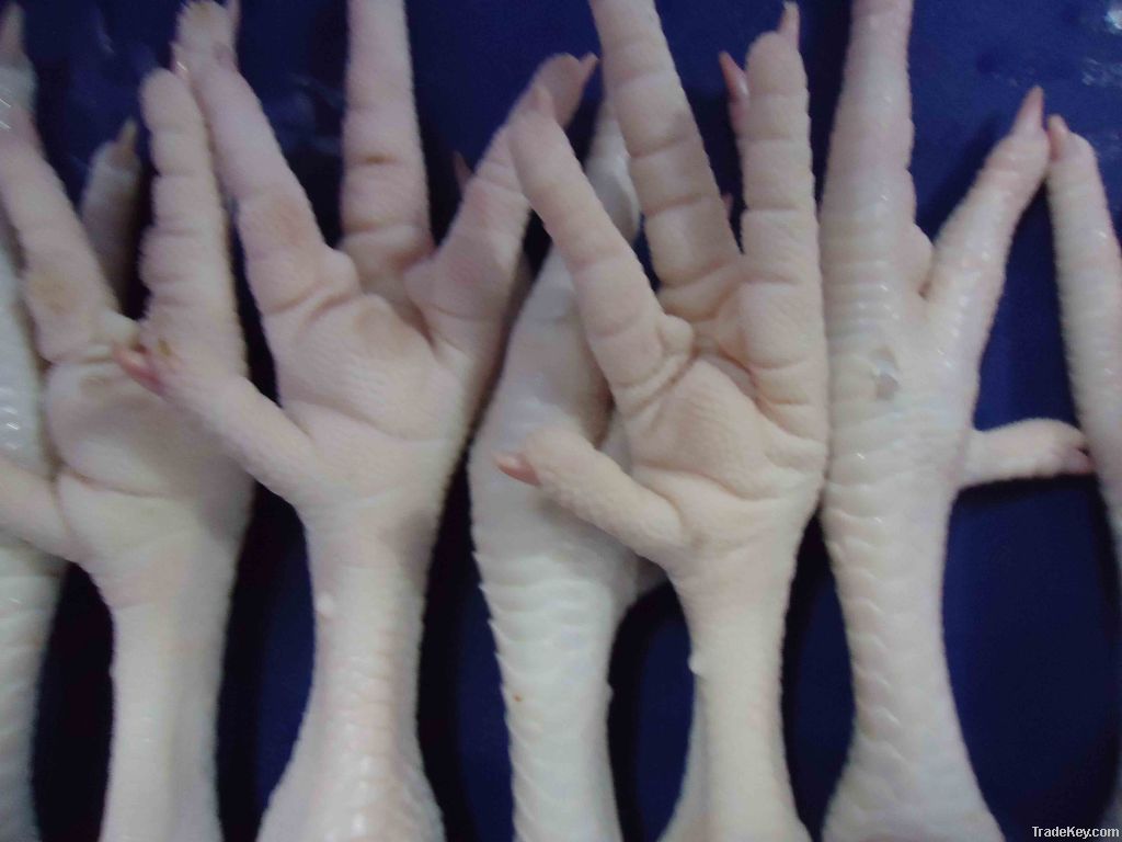 Frozen Processed Chicken Feet