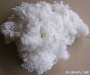 Polyester fiber