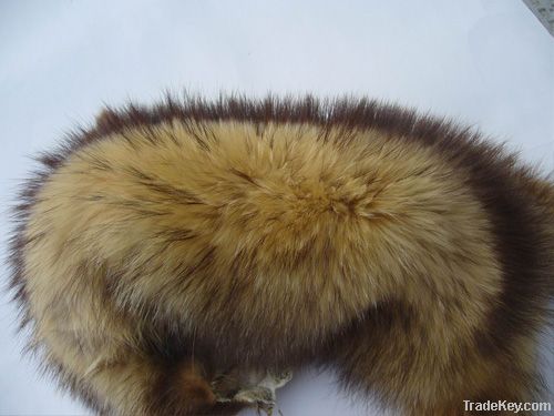 Fur Collar