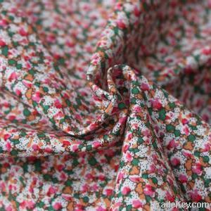 Printed Nylon Taffeta Fabric