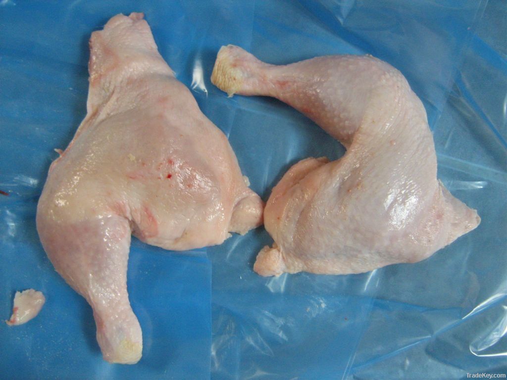 HALAL frozen chicken leg quarters