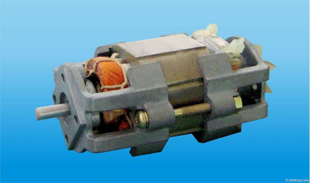 Induction motor - C45A Series