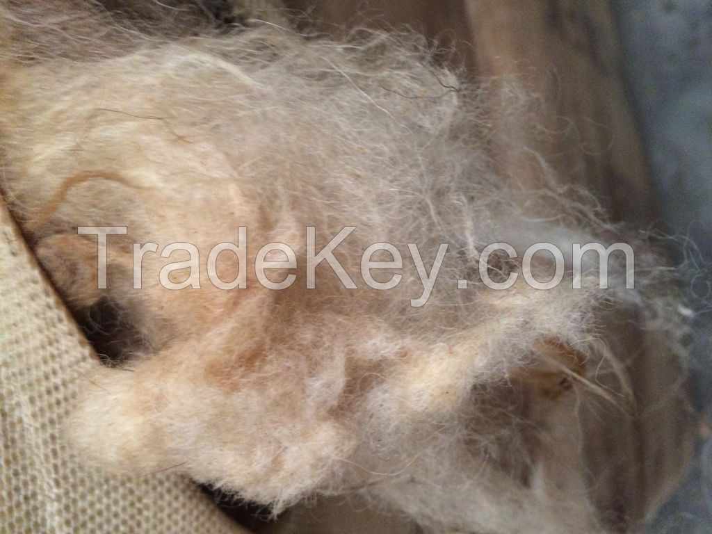 IWTO tested Awassi Wool