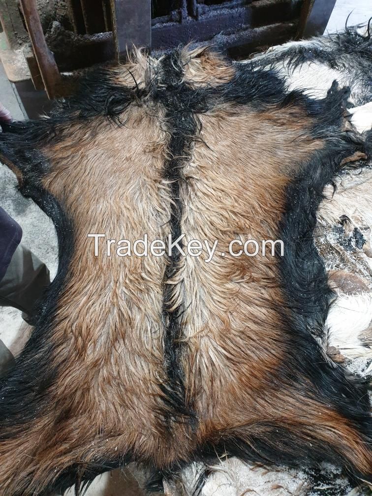 Drum Salted Cross Breed Doeper Lamb Skins