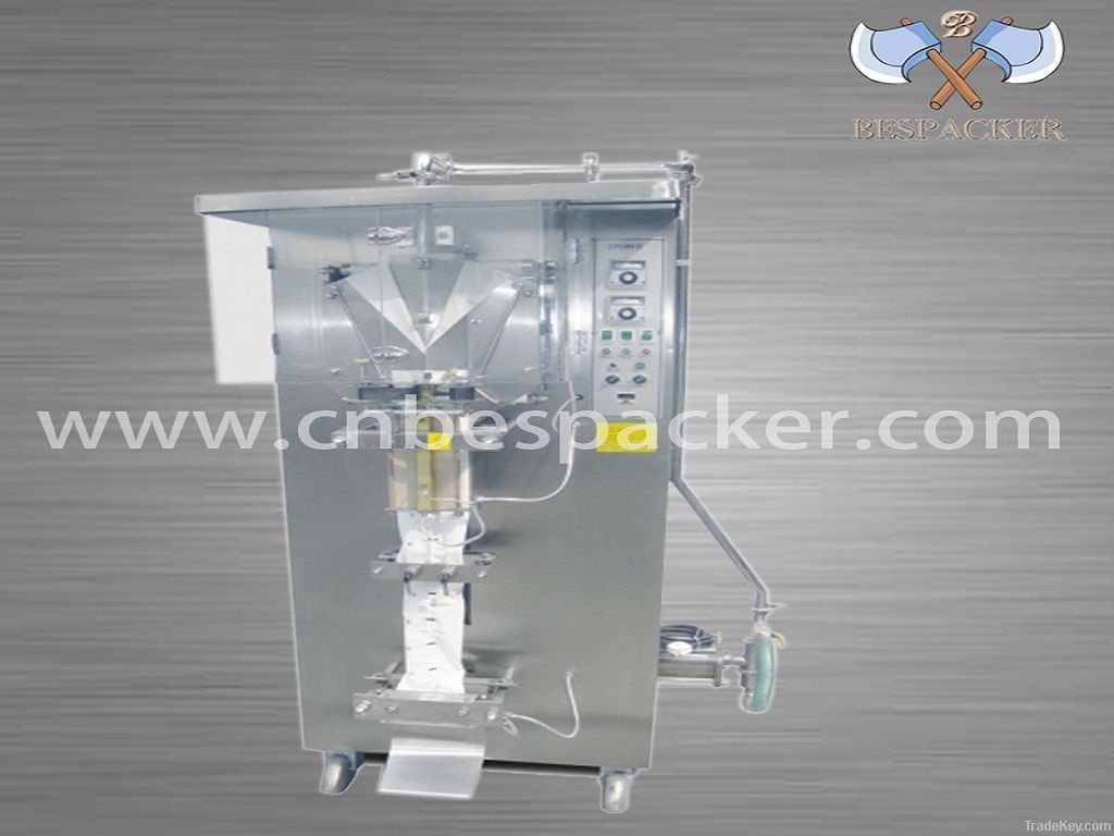 Automatic Water Bag Packing Machine