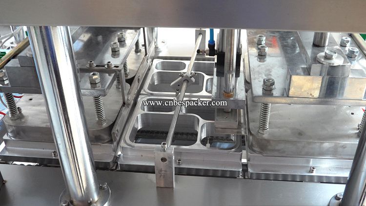 automatic lunch box filling and sealing machine