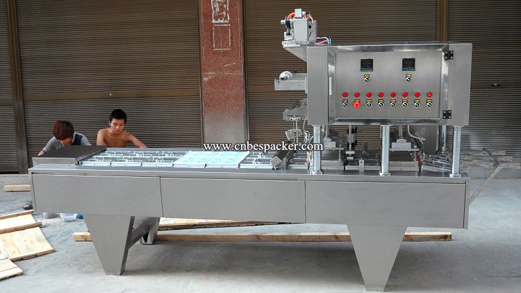 automatic lunch box filling and sealing machine