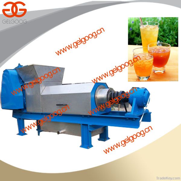 Double Screw Juice Extractor