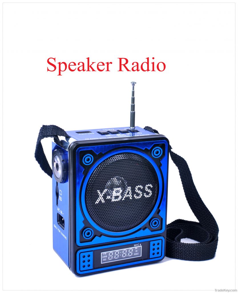 Torch Light Function Portable mini FM radio with USB/SD