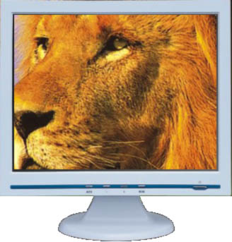 19" LCD monitor and TV