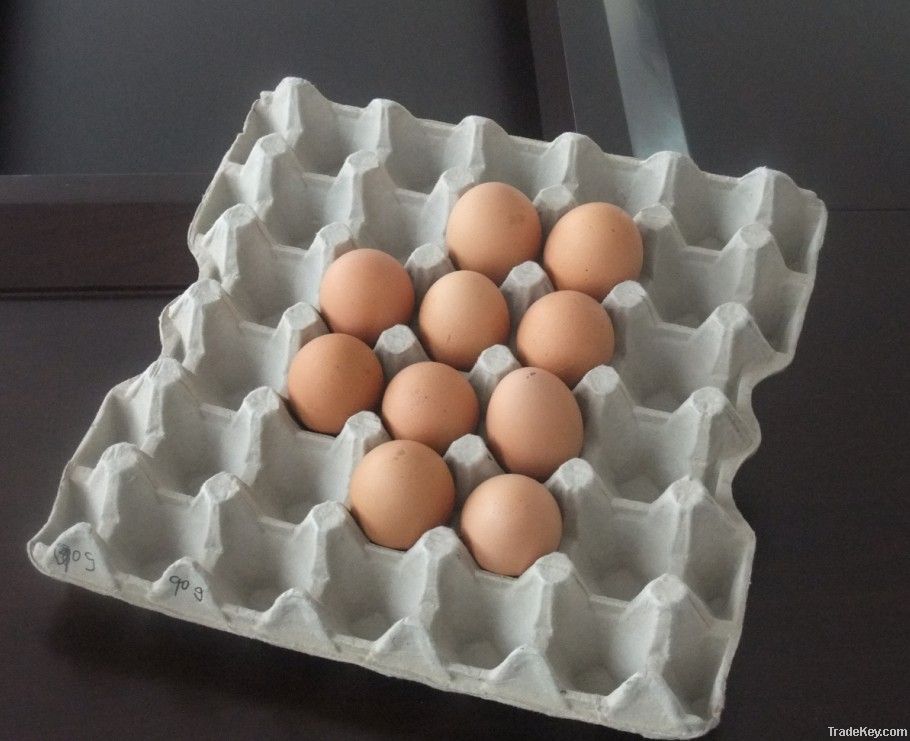 Simple-operation egg tray/dish production line