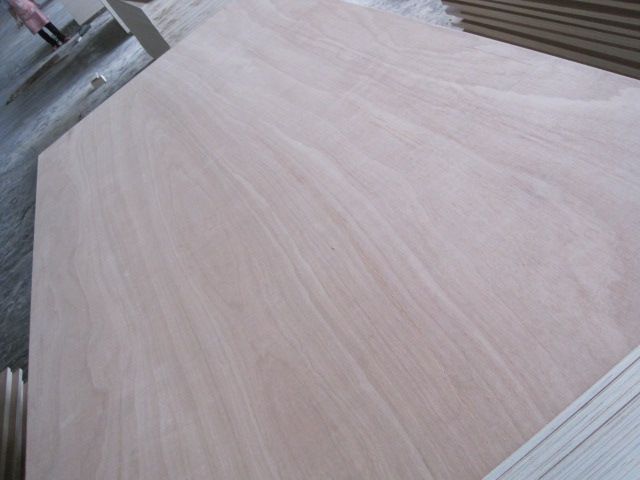 Hot!Cheap Commerical  plywood