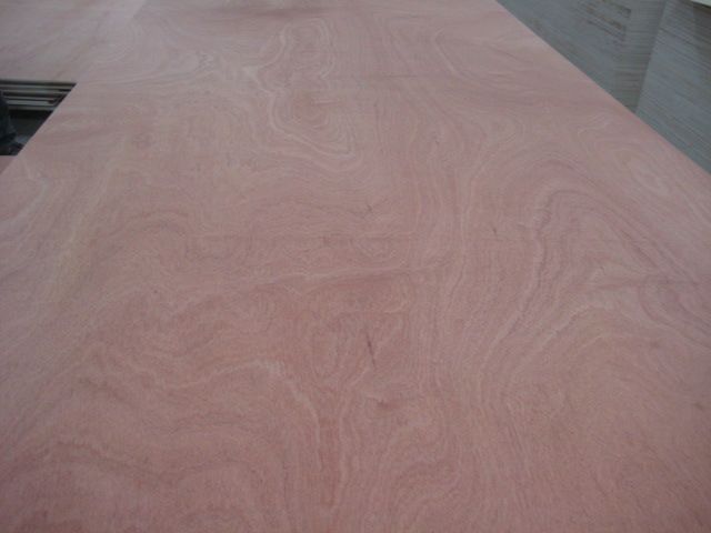 Hot!Cheap Commerical  plywood