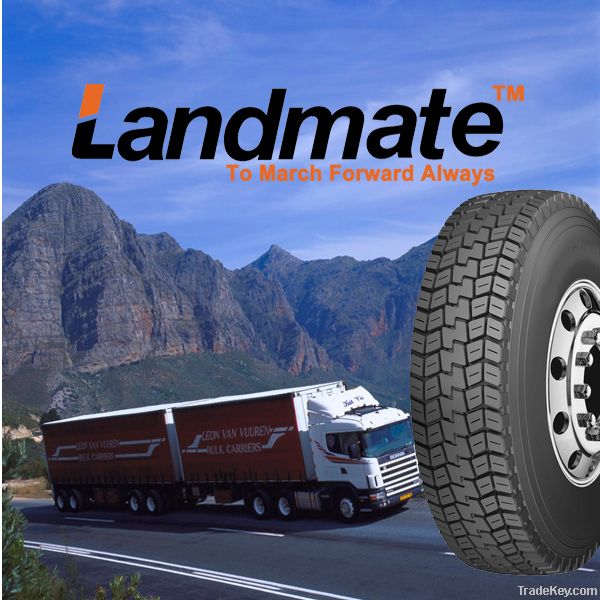 TRUCK TIRE, RADIAL TIRE
