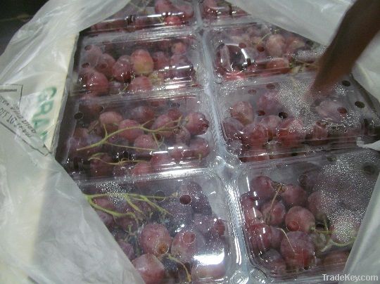 Fresh Red Grapes