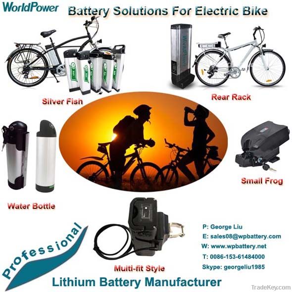 48V 10ah Electric Bike EBike Li-ion li ion lithium Battery