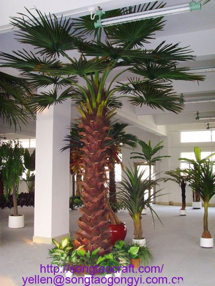 Palm Tree