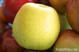Apple fruits, first grade