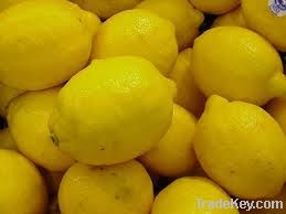 Lemon citrus fruit