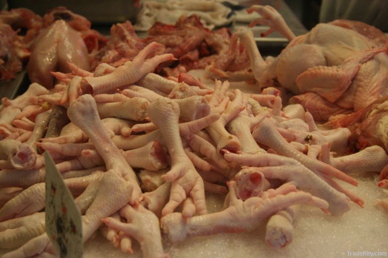 GRADE A FROZEN PROCESSED CHICKEN FEET AND OTHER CHICKEN PARTS