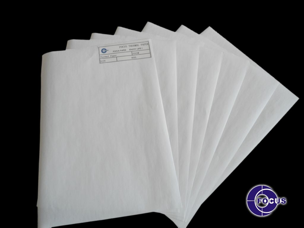Focus brand top quality thermal paper 