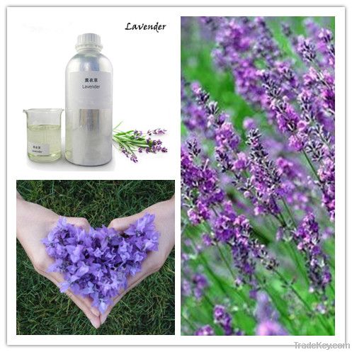 Lavender Essential Oil