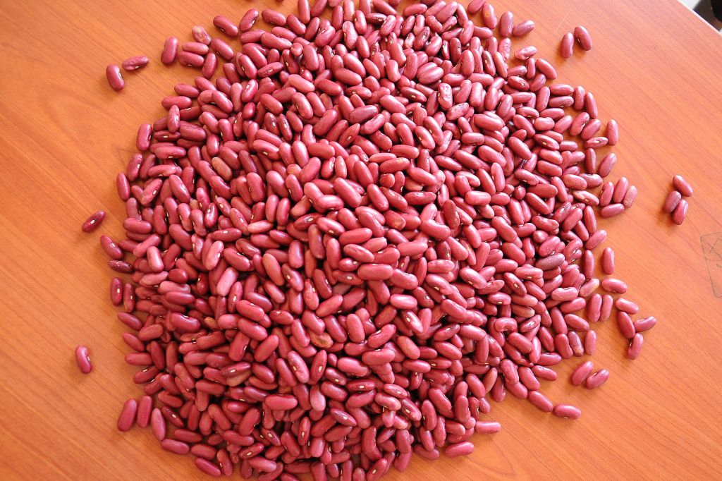 Red Kidney Beans